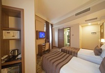 Delta Hotel — Стамбул, Туреччина мініатюра 6