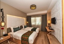 Aybar Hotel & Spa — Стамбул, Туреччина мініатюра 6