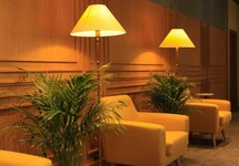Pine Astoria Hotel — Тбілісі, Грузія мініатюра 69