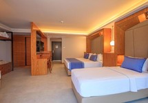 Orka World Hotel & Aqua Park — Овачік, Туреччина мініатюра 10