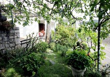 Draskovic Guesthouse — Будванськая Рівʼєра, Чорногорія мініатюра 8