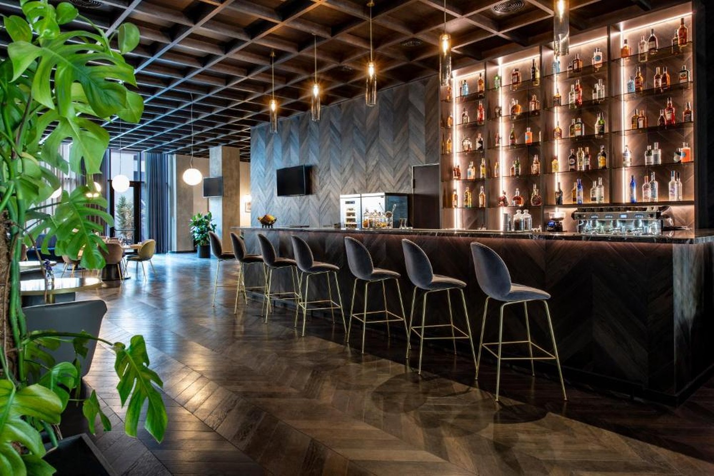 Tbilisi Philharmonic by Mercure Hotel — Тбілісі, Грузія мініатюра 9