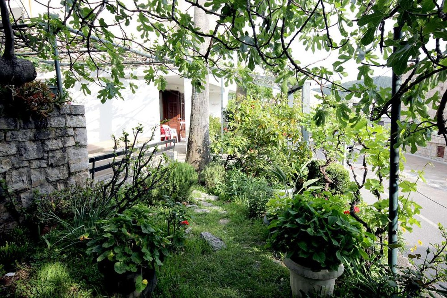 Draskovic Guesthouse — Будванськая Рівʼєра, Чорногорія мініатюра 10
