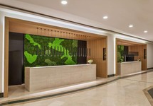 Double Tree by Hilton Antalya Kemer, Кемер, Туреччина мініатюра 11