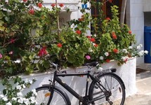 Irene Apartments Malia — о. Крит, Греція мініатюра 9