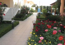 Golden Rose Suites — о. Крит, Греція мініатюра 9