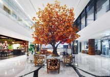 C Central Resort The Palm — Дубаї, Об'єднані Арабські Емірати мініатюра 71