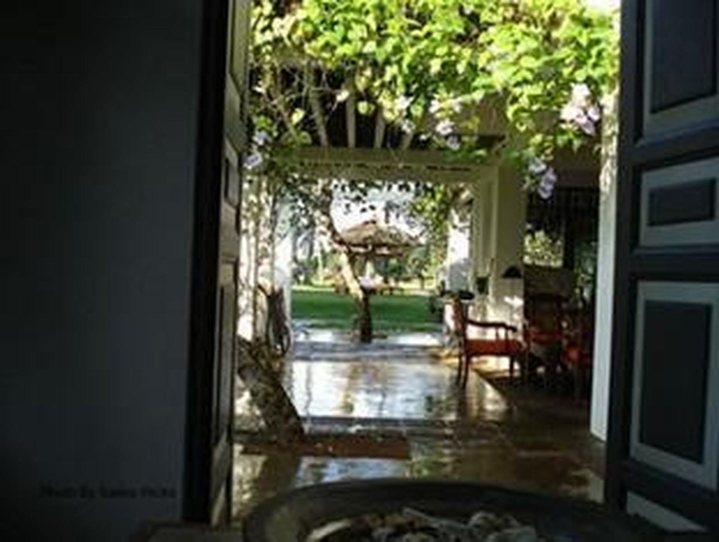Club Villa Bentota — Бентота, Шрі Ланка мініатюра 71
