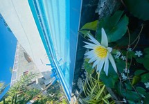 Liyanage Resort — Мірісса, Шрі Ланка мініатюра 6
