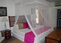 Club Villa Bentota — Бентота, Шрі Ланка мініатюра 61