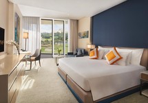 JA Lake View Hotel — Дубаї, Об'єднані Арабські Емірати мініатюра 138