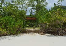 Heliconia Grove — о. Праслін, Сейшельські острови мініатюра 7