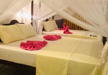 Coral Palm Villa & Apartment — Унаватуна, Шрі Ланка мініатюра 10