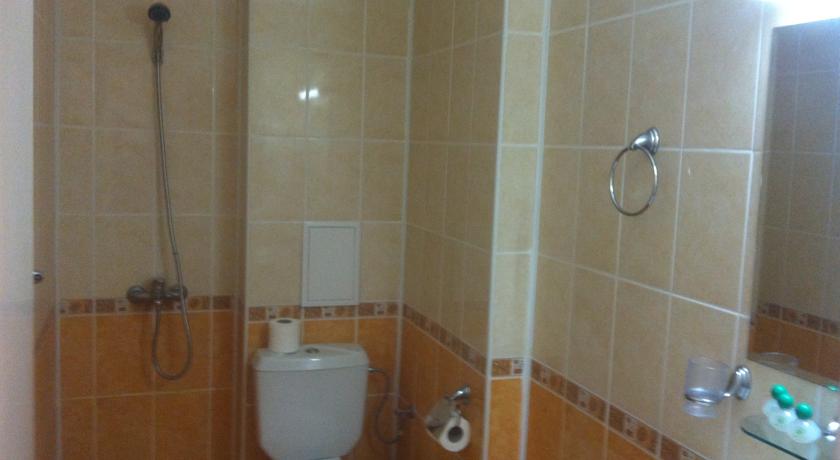 Detelina Hotel — Золоті піски, Болгарія мініатюра 13