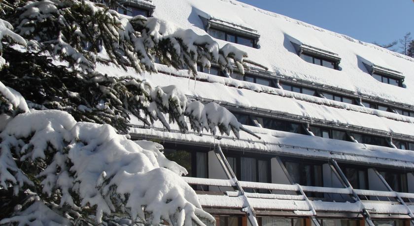Ela Hotel — Боровець, Болгарія мініатюра 10