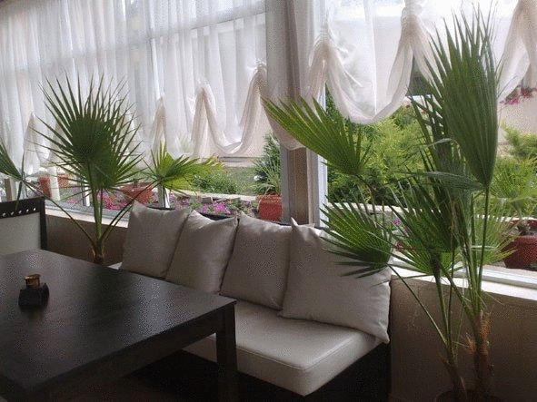 Tropics Hotel — Светий Влас (Святий Влас), Болгарія мініатюра 16
