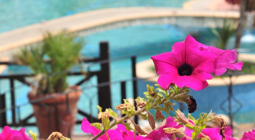 Elani Bay Resort — Халкідікі, Греція мініатюра 8