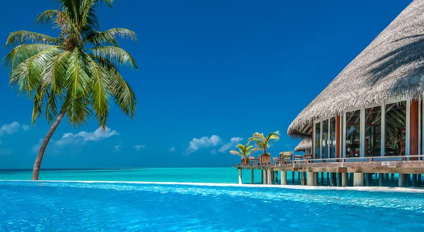 Sun Siyam Vilu Reef — Даалу Атол, Мальдіви — фото 1