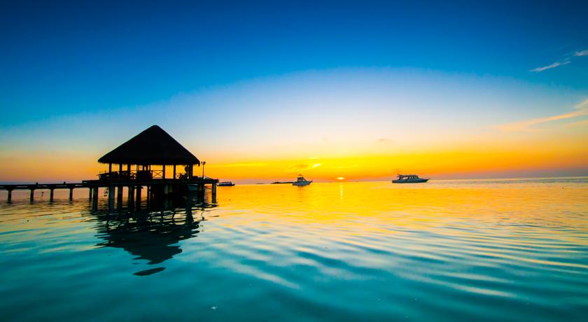 Sun Siyam Vilu Reef — Даалу Атол, Мальдіви мініатюра 8