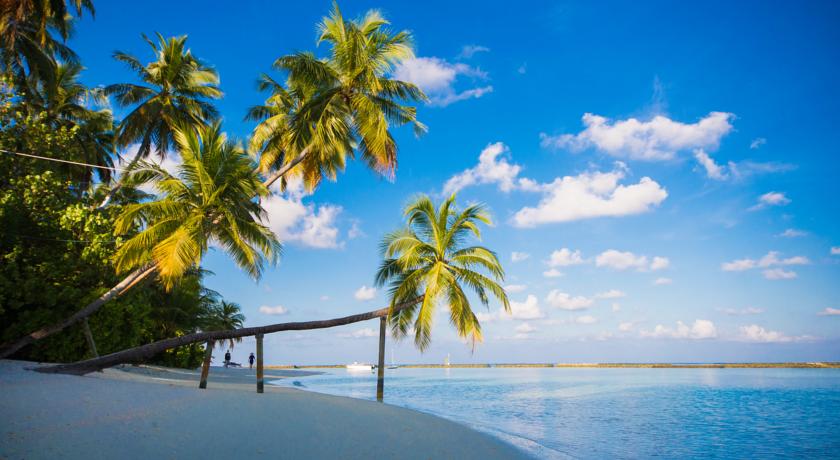 Sun Siyam Vilu Reef — Даалу Атол, Мальдіви мініатюра 12