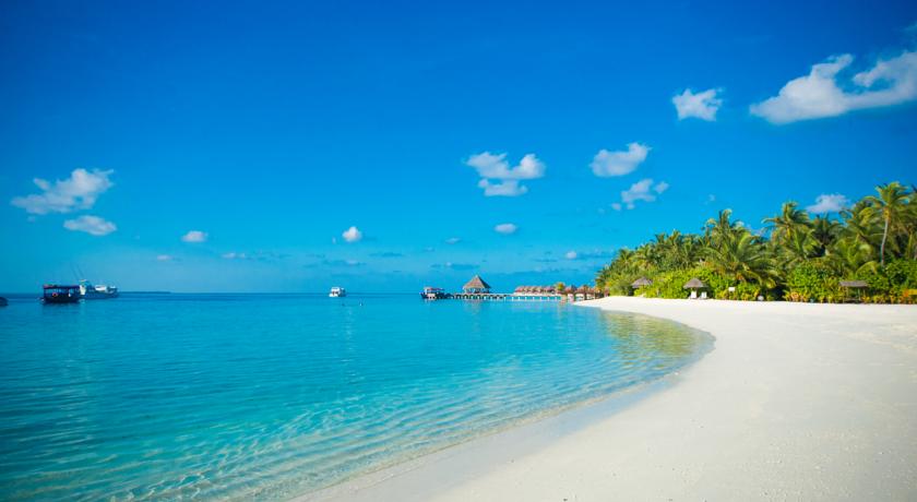 Sun Siyam Vilu Reef — Даалу Атол, Мальдіви мініатюра 14