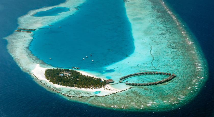 Sun Siyam Vilu Reef — Даалу Атол, Мальдіви мініатюра 21