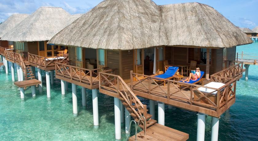 Sun Siyam Vilu Reef — Даалу Атол, Мальдіви мініатюра 22