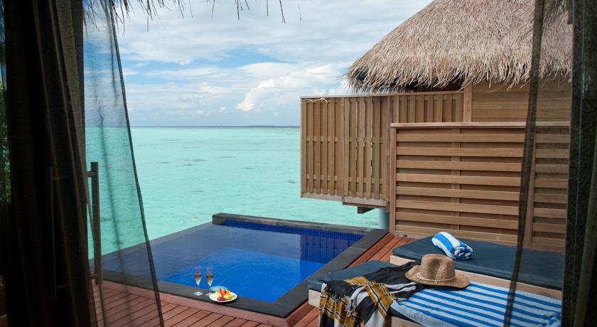 Sun Siyam Vilu Reef — Даалу Атол, Мальдіви мініатюра 26