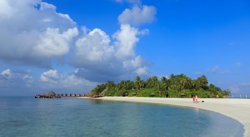 Sun Siyam Vilu Reef — Даалу Атол, Мальдіви мініатюра 38