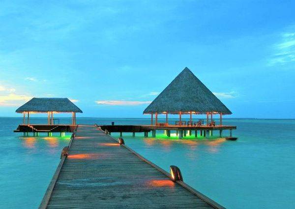 Sun Siyam Vilu Reef — Даалу Атол, Мальдіви мініатюра 47