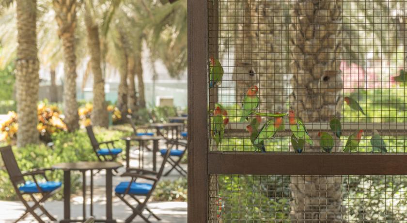 Coral Beach Resort Sharjah — Шарджа, Об'єднані Арабські Емірати мініатюра 15