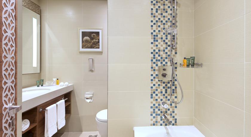 Hilton Garden Inn Dubai Al Mina — Дубаї, Об'єднані Арабські Емірати мініатюра 89