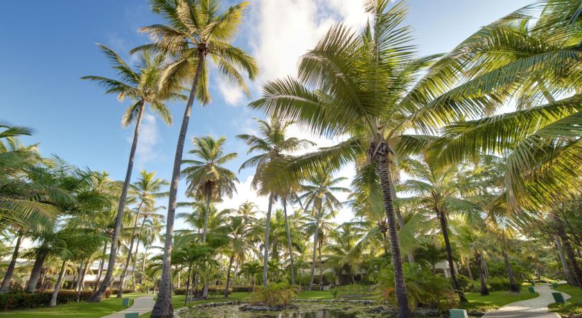 Melia Caribe Beach Resort — Пунта Кана, Домініканська Республіка мініатюра 14