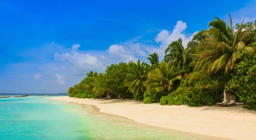Nova Maldives Vakarufalhi — Арі (Аліфу) атол, Мальдіви мініатюра 8