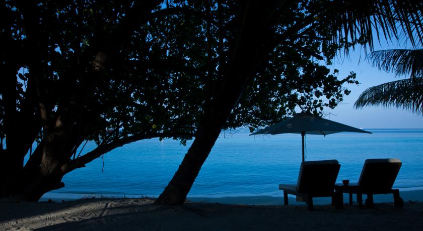 Nova Maldives Vakarufalhi — Арі (Аліфу) атол, Мальдіви мініатюра 12