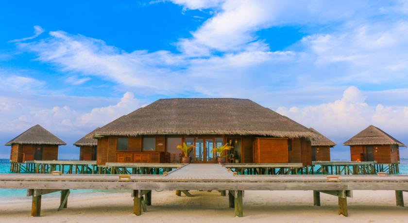 Nova Maldives Vakarufalhi — Арі (Аліфу) атол, Мальдіви мініатюра 14