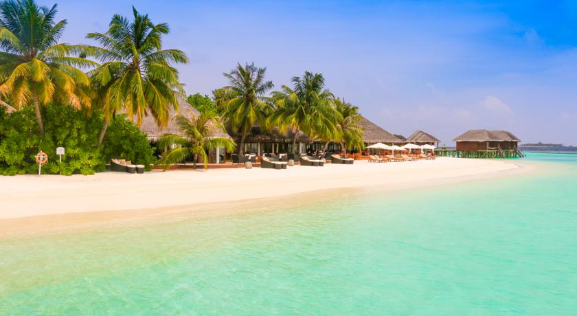 Nova Maldives Vakarufalhi — Арі (Аліфу) атол, Мальдіви мініатюра 22