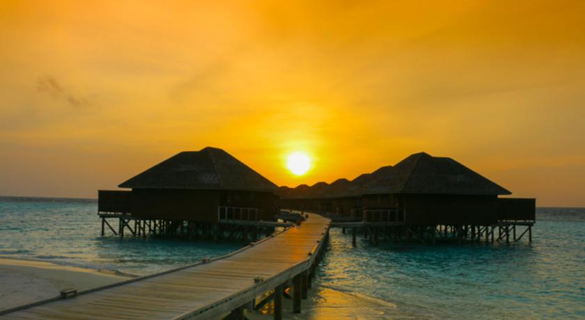Nova Maldives Vakarufalhi — Арі (Аліфу) атол, Мальдіви мініатюра 23