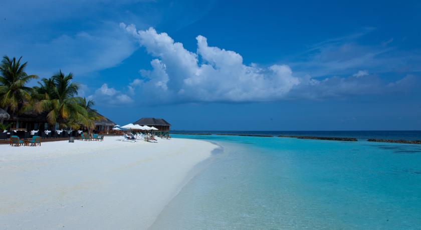 Nova Maldives Vakarufalhi — Арі (Аліфу) атол, Мальдіви мініатюра 25
