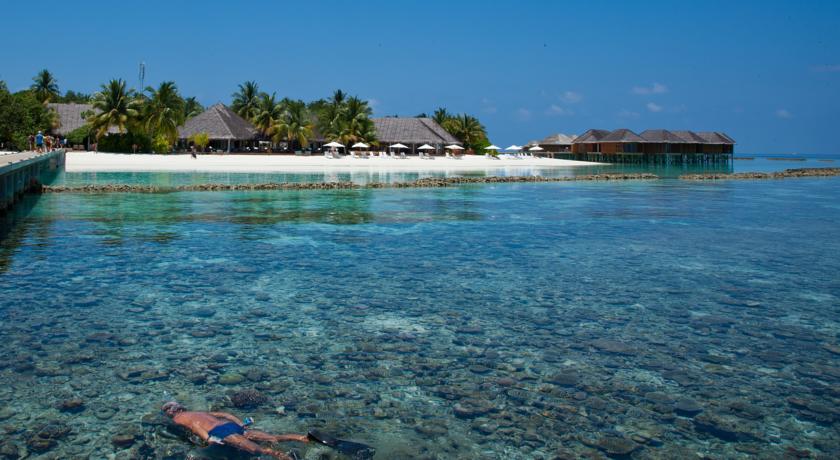 Nova Maldives Vakarufalhi — Арі (Аліфу) атол, Мальдіви мініатюра 26