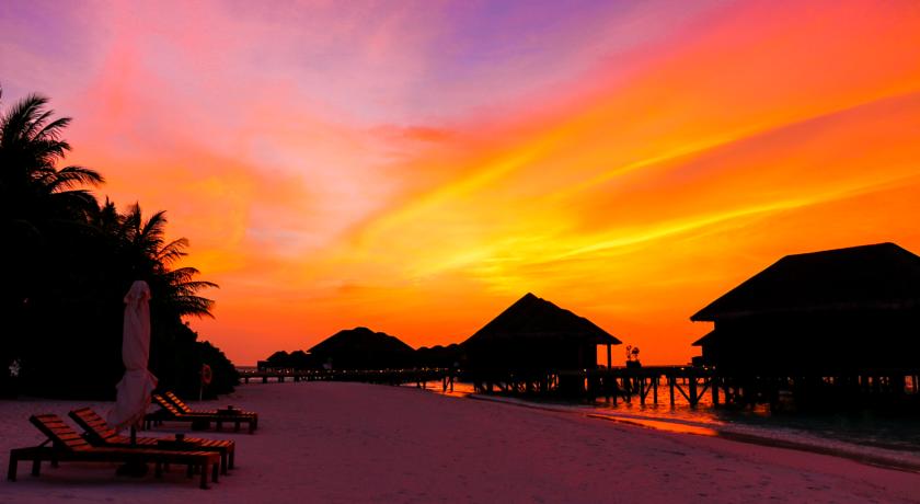 Nova Maldives Vakarufalhi — Арі (Аліфу) атол, Мальдіви мініатюра 28