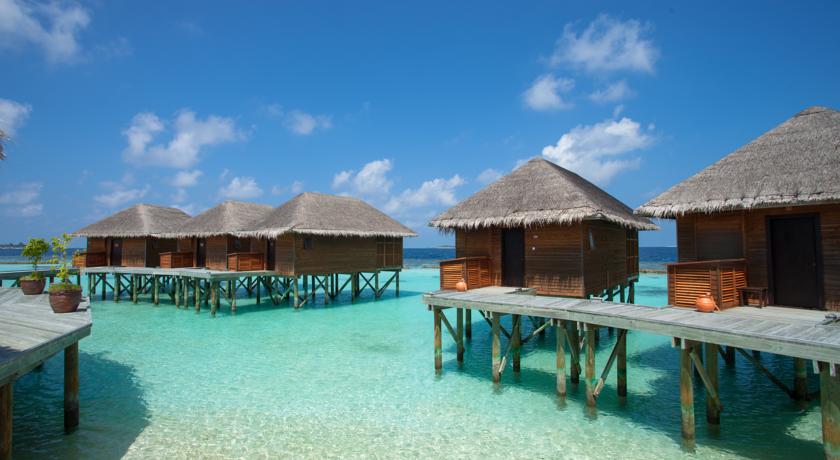 Nova Maldives Vakarufalhi — Арі (Аліфу) атол, Мальдіви мініатюра 34