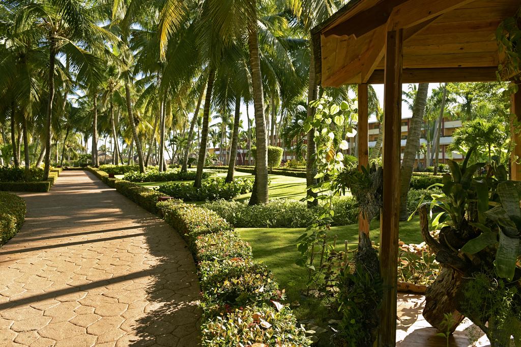 Iberostar Waves Punta Cana — Баваро, Домініканська Республіка мініатюра 12