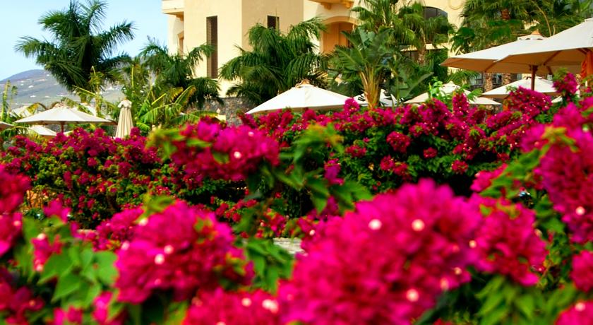 Vincci Seleccion La Plantacion del Sur — о. Тенеріфе (Канари), Іспанія мініатюра 25