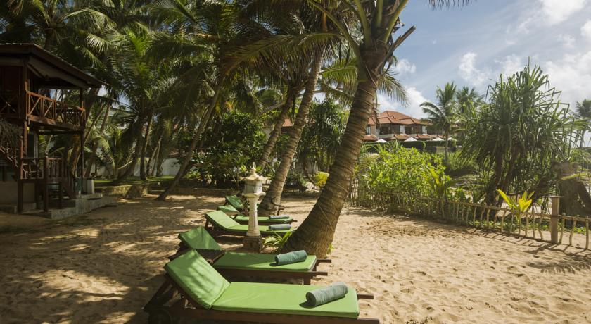 Rockside Beach Resort — Індурува, Шрі Ланка мініатюра 15