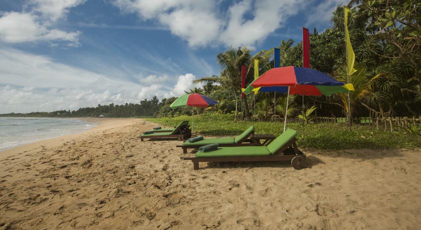 Rockside Beach Resort — Індурува, Шрі Ланка мініатюра 16