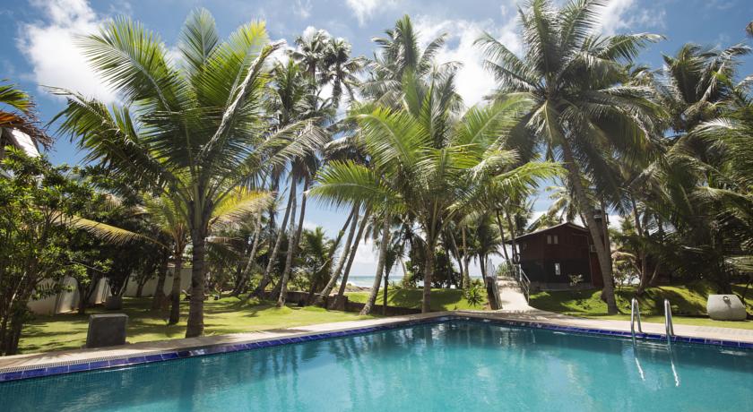 Rockside Beach Resort — Індурува, Шрі Ланка мініатюра 29