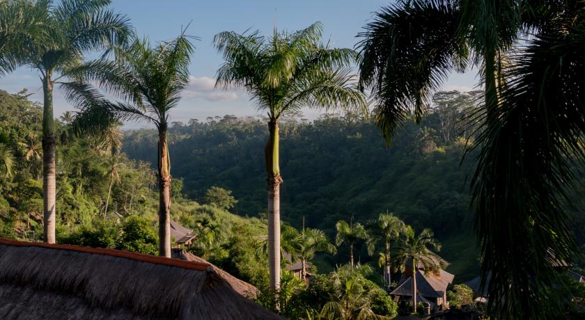 The Payogan Villa Resort & Spa Ubud Bali — о. Балі, Індонезія мініатюра 127
