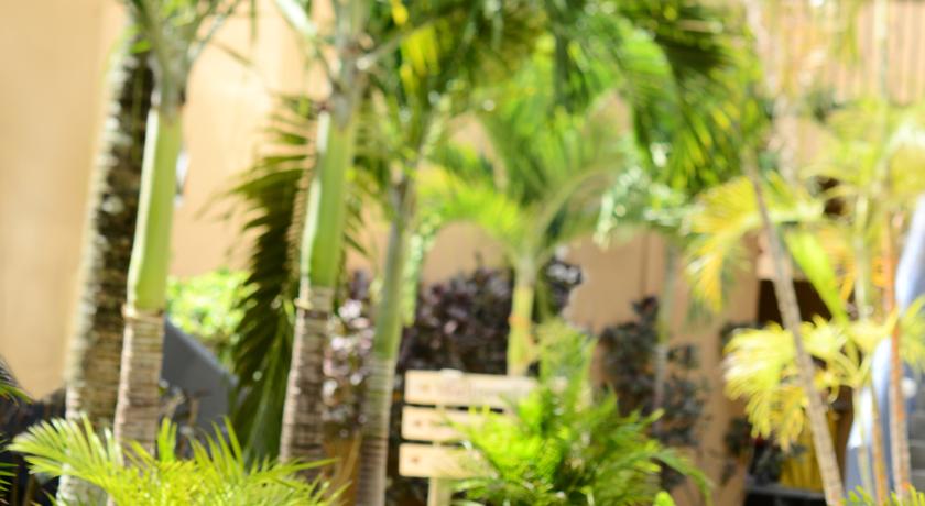 Veranda Pointe Aux Biches Hotel Mauritius — Маврикій, Маврикій мініатюра 23