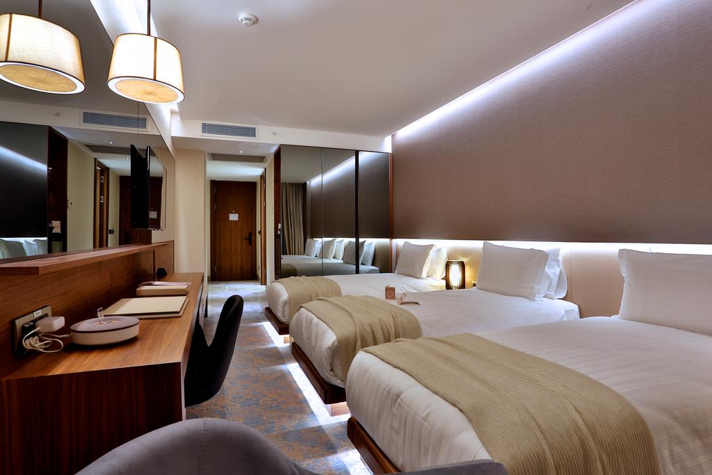 Dosso Dossi Hotels & Spa Downtown — Стамбул, Туреччина мініатюра 169